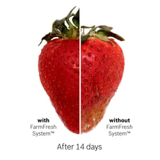 Strawberry Side-by-Side Freshness Graphic